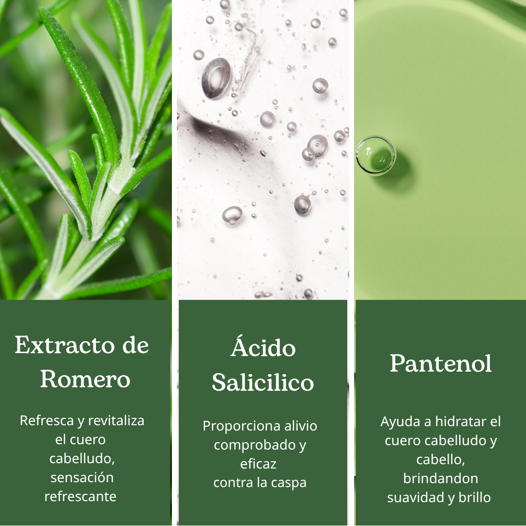 Two pack shampoo y acondicionador Romero & Menta